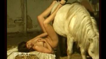 Nude babe with big tits, sloppy blowjob on a horse hammer