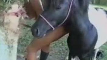 Latina with a sexy tan fucked deep by a horse