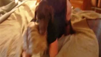 Narrow bestiality pussy expanded by a dominant canine