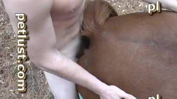 Man tries horse porn for the first time and he loves it