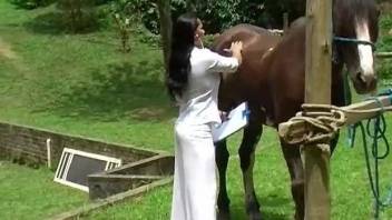 Brunette kneels before the horse and sucks its dick big time