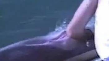 Dolphin getting fingered in a hot porno movie