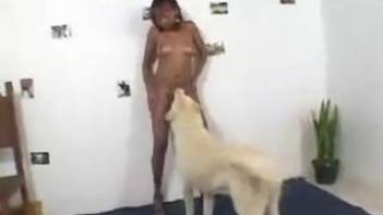 Dick slurping bestiality whores in filthy canine smut scenes