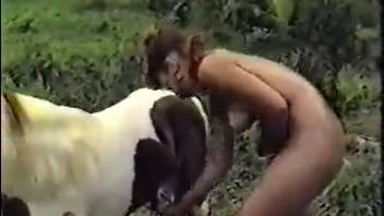 Nude novice women aggressively banged by canines with massive cocks