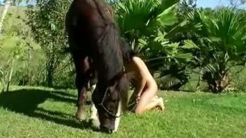 Horses with hard cocks prefer skinny sexy sluts