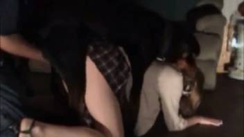 Japanese student in erotic bestiality home experiment on webcam