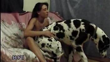 Naked slut amazes with how good she can suck a stiff dog cock