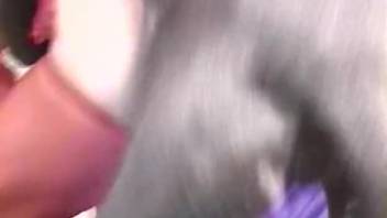 Plump woman getting pounded by a dark dog in a steamy clip