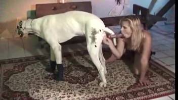 Large canine vigorously penetrates blond spouse while she's solo at home