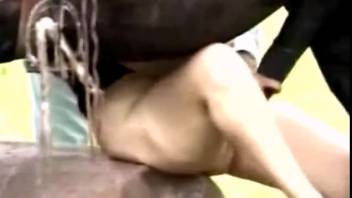 Outdoor sex film featuring an attractive horse