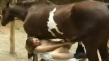 Collared hoe getting fucked deep by a HUGE cock