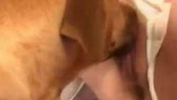 Blonde in white gets rimmed and railed by a dog