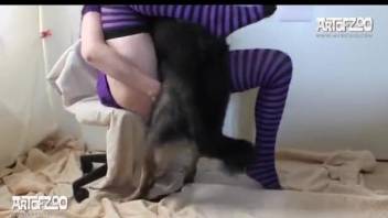 Brunette in purple pounded by a very sexy dog