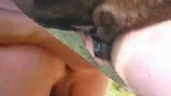 Lustful bestiality enthusiast has his rear end demolished by a stallion