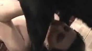 Busty slut getting impregnated by a well-hung canine