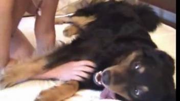 Naked stunner enjoys intimate moments with her canine companion