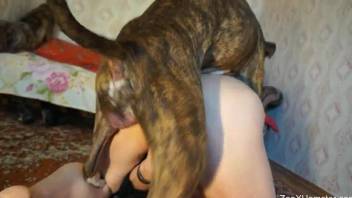 Meaty housewife getting fucked from behind by a dog