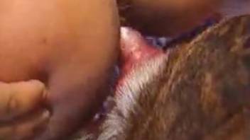 Amazing bestiality sex video featuring an obedient Latina woman