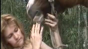 Equine adult video