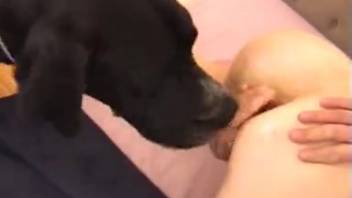 Intense penetration for the slender novice in genuine bestiality webcam scene