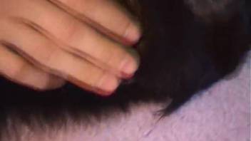 Guy manually stimulating his dog's incredibly snug vagina