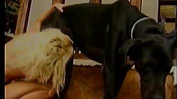 Furry guys and aroused ladies banging creatures intensely